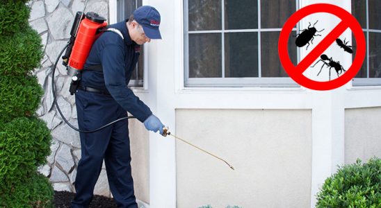 Ayvalık Fare İlaçlama böcek ilaçlama ve haşere kontrolü — ilaclama-tr.com